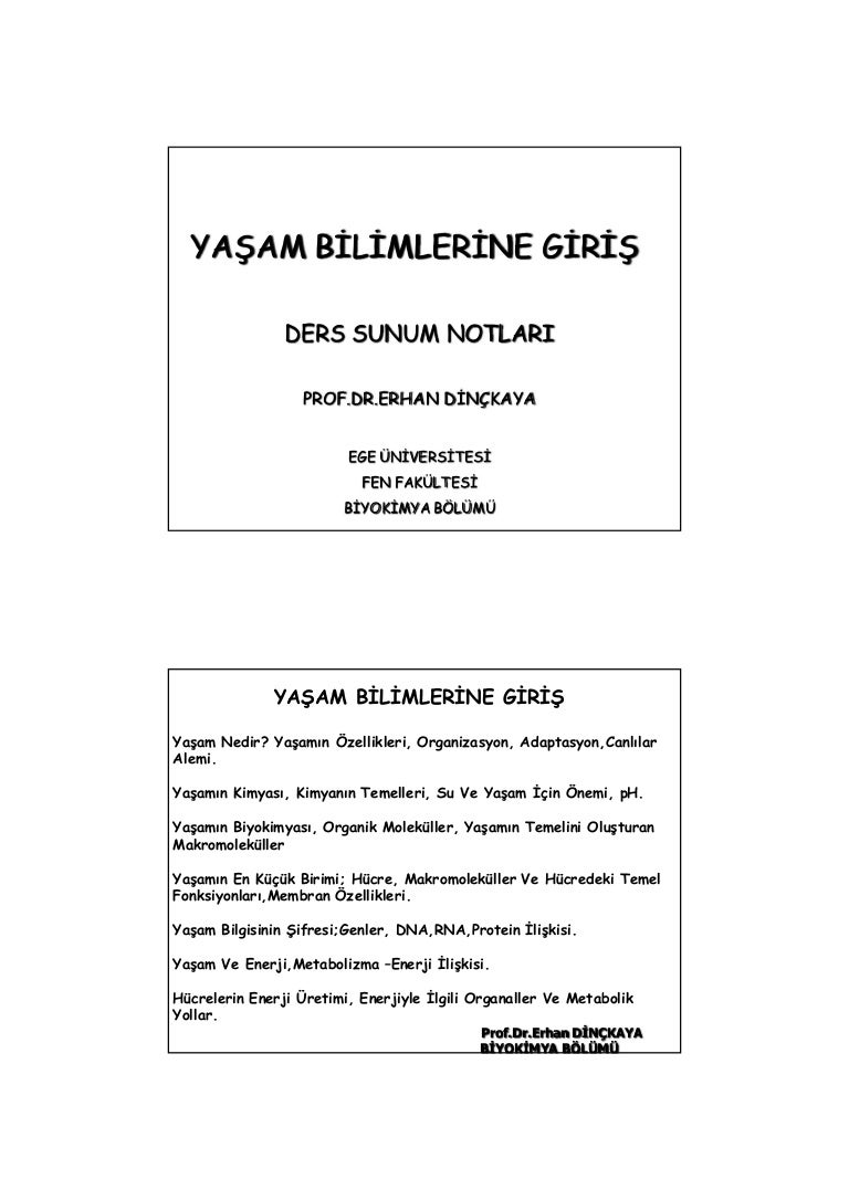 Kortizol: seviyesi nasıl düşürülür Kortizol nedir ve ne için sorumludur Kortizol: seviyesi nasıl düşürülür Kortizol nedir ve ne için sorumludur